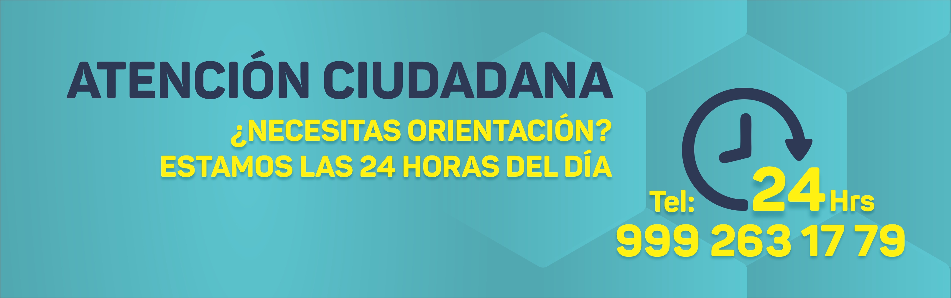 Consulta de deudores alimentarios morosos