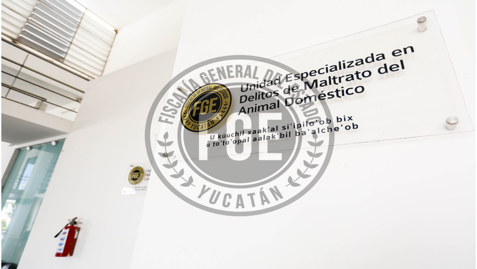 Pareja vinculada a proceso por maltrato animal en Baca