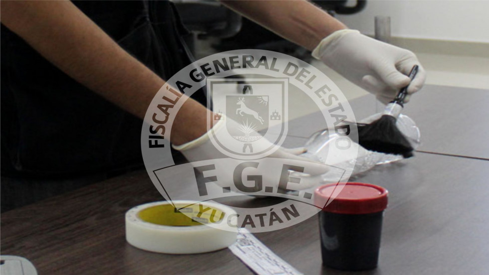 Fallo condenatorio en procedimiento abreviado por robo