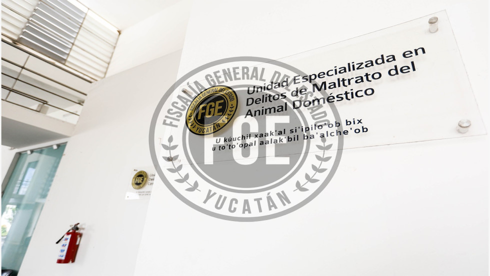 INVESTIGAN PRESUNTO CASO DE MALTRATO ANIMAL EN CAUCEL