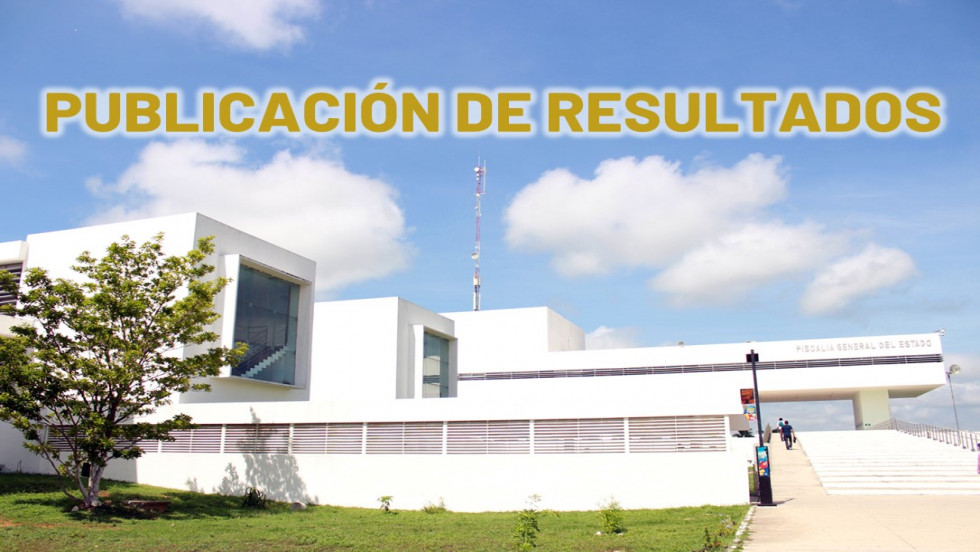 Las organizaciones de la sociedad civil vinculadas en temas de violencia contra las mujeres o defensa de los derechos de las mujeres que fueron elegidas para integrarse al comité técnico de análisis y evaluación del protocolo de actuación ministerial, pericial y policial