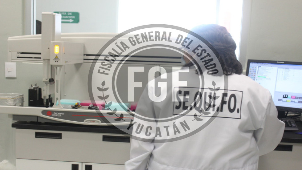 Pareja vinculada por drogas y daño a propiedad