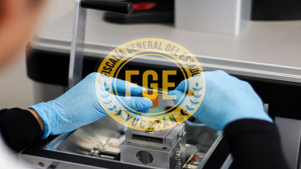 Imputada y tras las rejas por mentir ante un juez