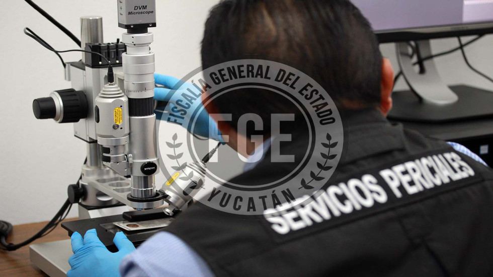 Hallada culpable por despojo de cosa inmueble