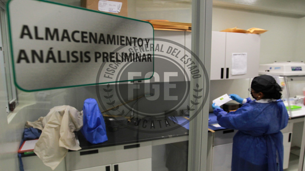 A proceso por incumplimiento de obligaciones de asistencia familiar