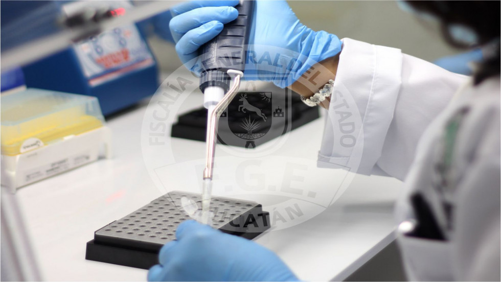 Dos vinculados a proceso por delitos contra la salud en Umán