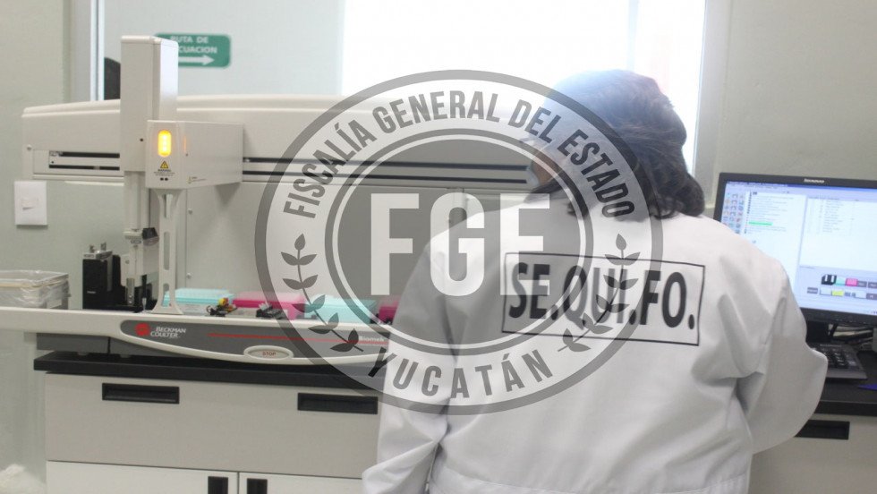 Resuelven situación legal de pareja por delitos contra la salud