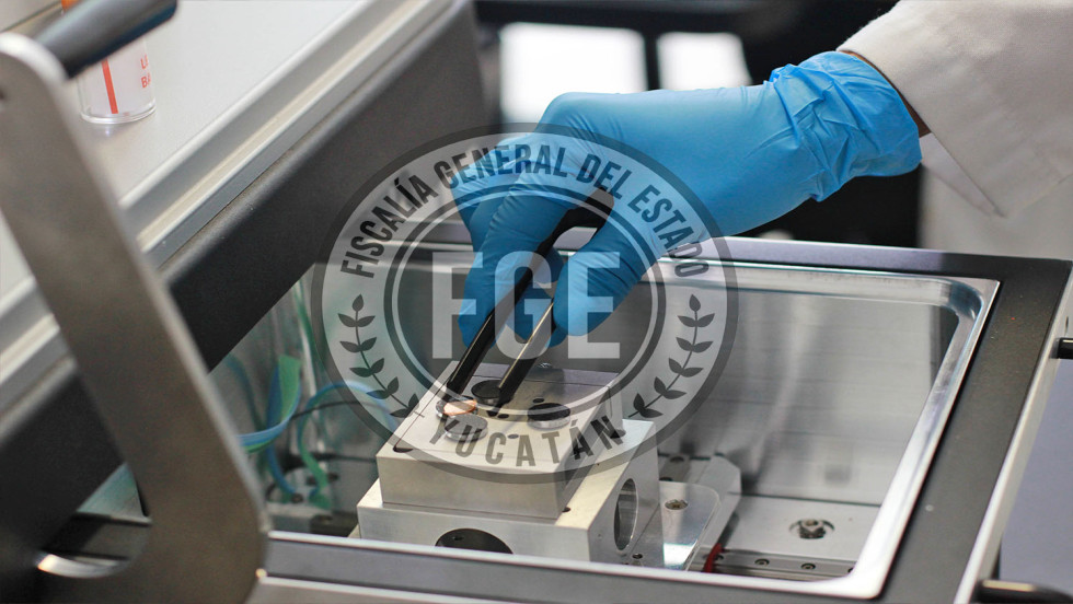 Vinculado a proceso y con arresto en su domicilio por maltrato animal