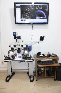 Profesionalizaci&oacute;n en Laboratorio Qu&iacute;mico de la FGE