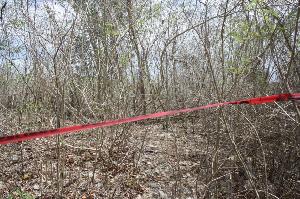 OPERATIVO CONJUNTO FGE-SSP ESCLARECE HOMICIDIO EN UM&Aacute;N