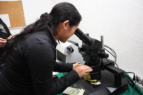 Análisis grafoscópico y documentoscópico, crucial en Investigación